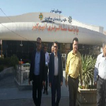 بازدید