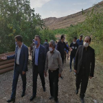 بازدید