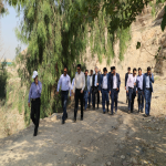بازدید